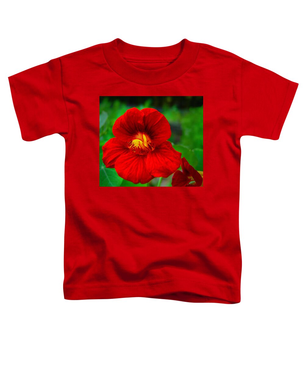 Day Lily Toddler T-Shirt featuring the photograph Day Lily by Bill Barber