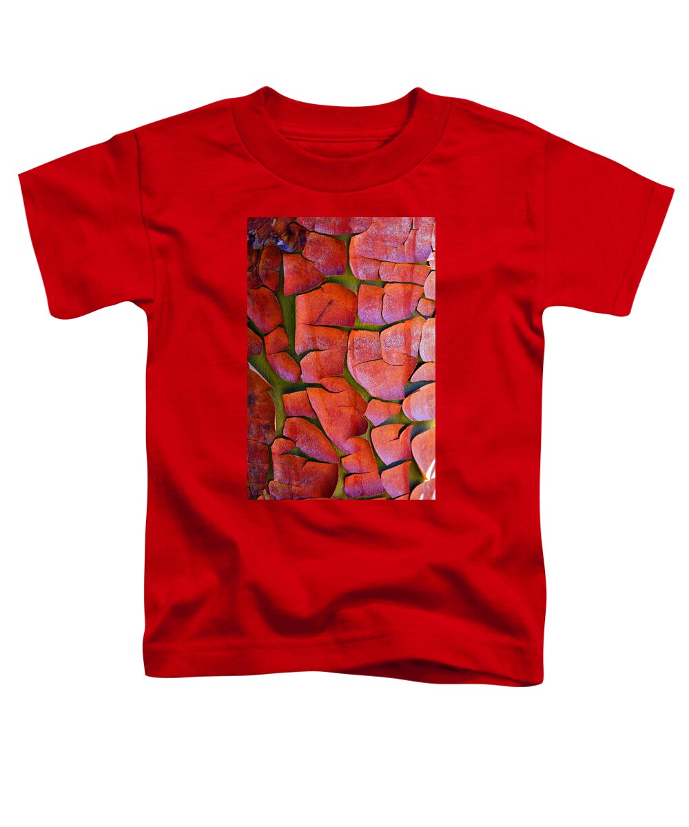 Pacific Madrona Tree Bark Toddler T-Shirt featuring the photograph Madrone by Marie Jamieson