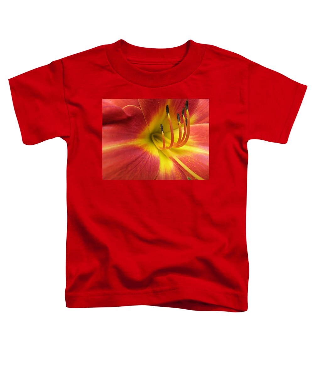 Day Lily Toddler T-Shirt featuring the photograph With Great Detail by Kim Galluzzo Wozniak