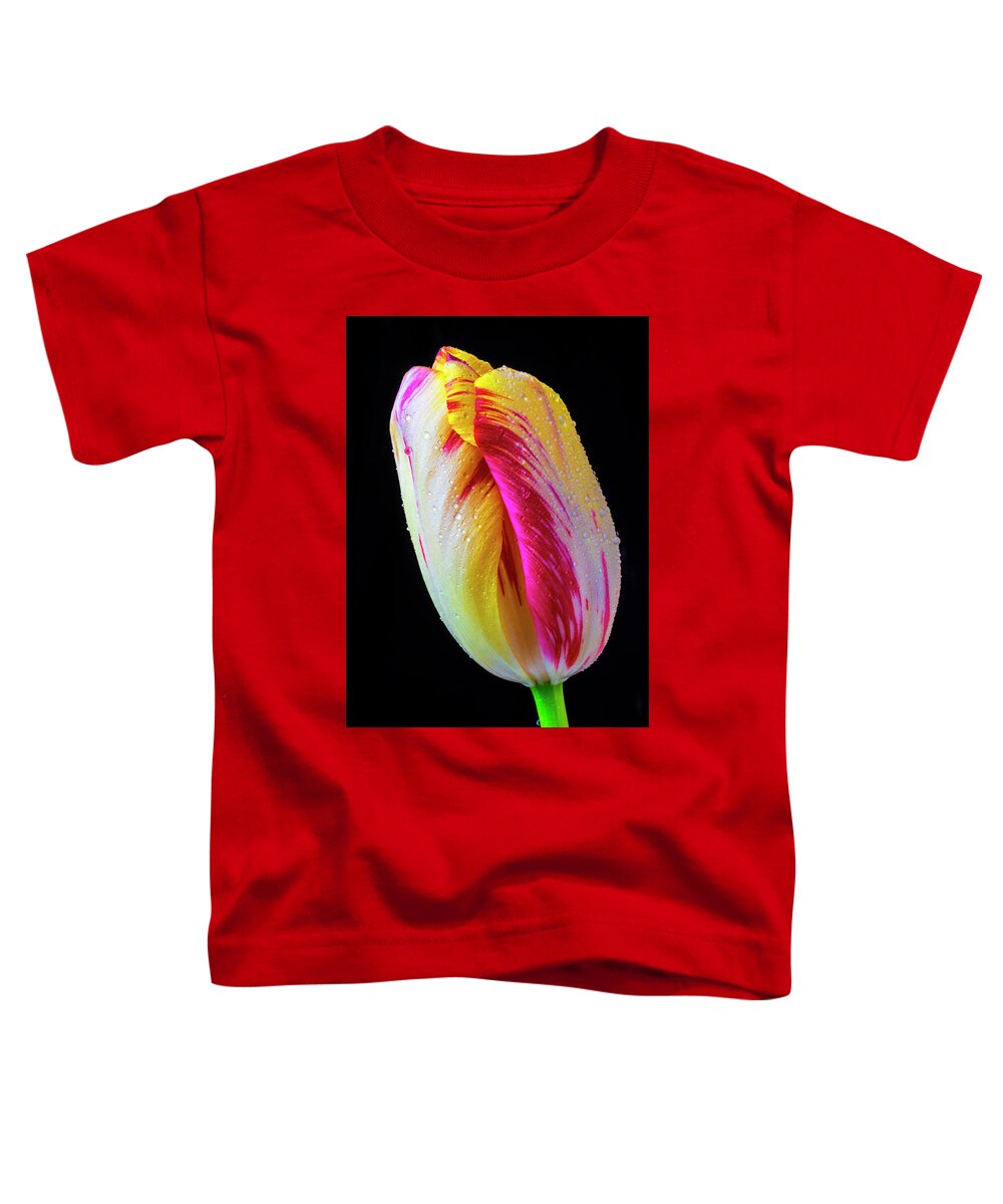 Tulip Toddler T-Shirt featuring the photograph Wonderful Dew Covered Tulip #1 by Garry Gay