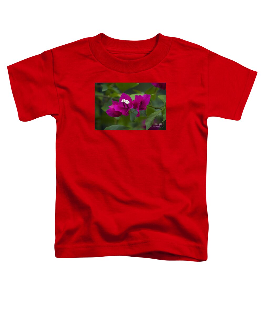 Bougainvillea Toddler T-Shirt featuring the photograph 10- Bougainvillea by Joseph Keane