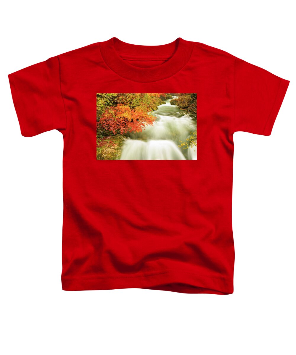 Soteska Toddler T-Shirt featuring the photograph The Soteska Vintgar gorge in Autumn #2 by Ian Middleton