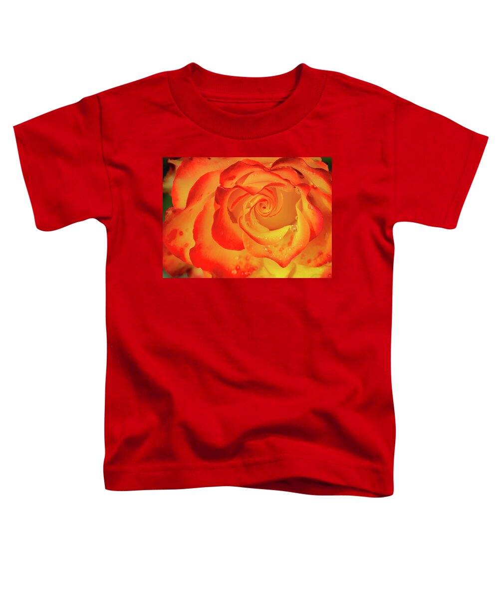 Nature Toddler T-Shirt featuring the photograph Rose Beauty #7 by Shirley Mitchell