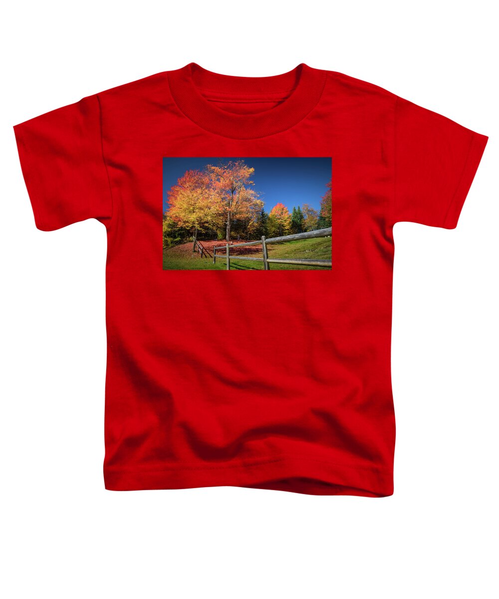 New Hampshire Toddler T-Shirt featuring the photograph Autumn Color by Colin Chase
