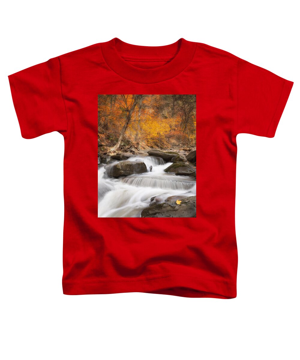 Autumn Toddler T-Shirt featuring the photograph Autumn Fire by Bill Wakeley