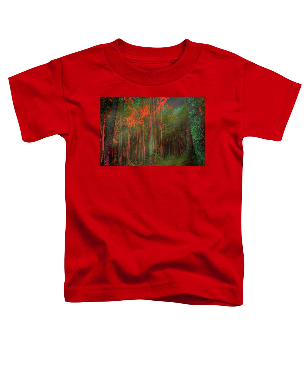 Magic Forest Toddler T-Shirt featuring the photograph Autumn in the Magic Forest by Mimulux Patricia No