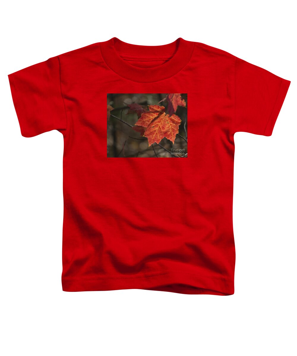 Leaves Toddler T-Shirt featuring the photograph Autumn Leaf 2015 by Lili Feinstein