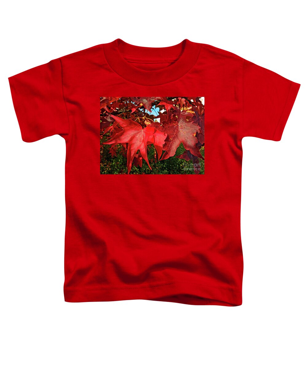 Autumn Red Leaves Toddler T-Shirt featuring the photograph Autumn Red Leaves by Jasna Dragun