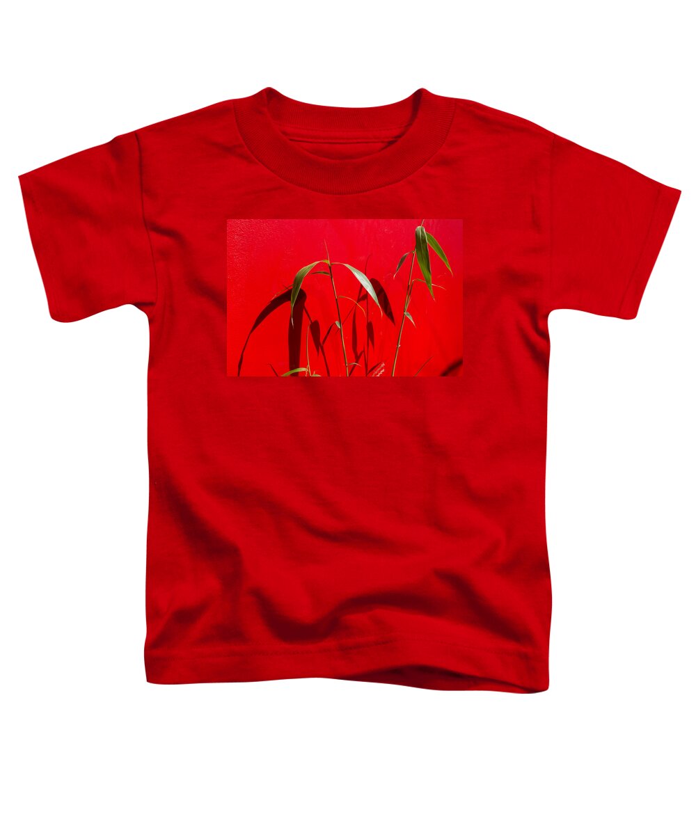 Boston Toddler T-Shirt featuring the photograph Bamboo Against Red Wall by SR Green