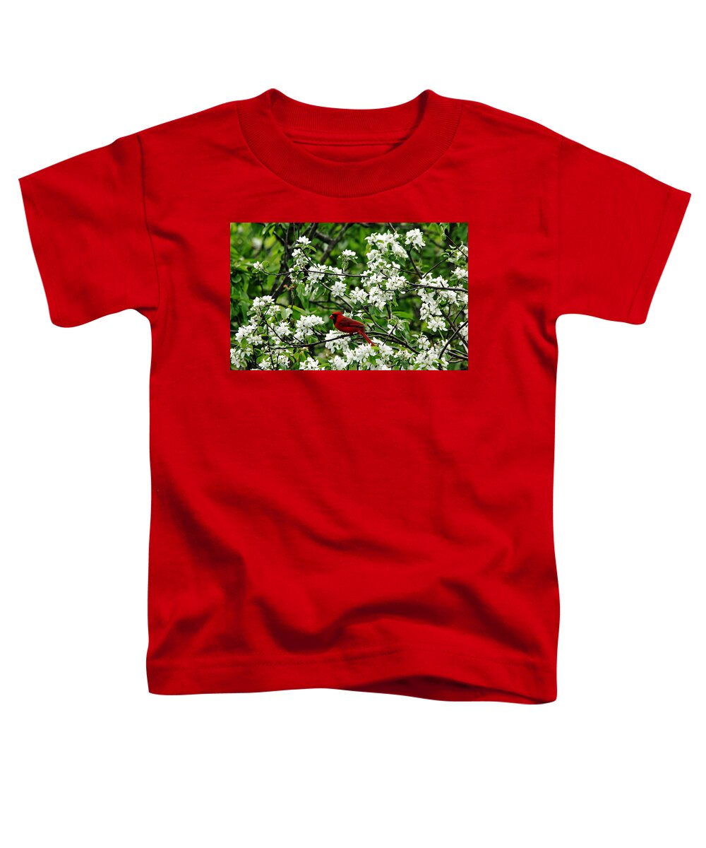 Red Cardinal Toddler T-Shirt featuring the photograph Bird And Blossoms by Debbie Oppermann