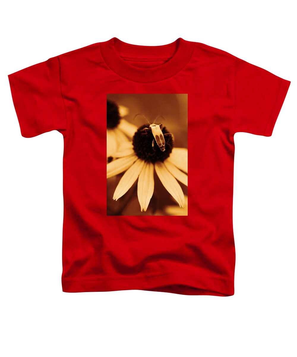 Leatherwing Toddler T-Shirt featuring the photograph Blending by Angela Rath