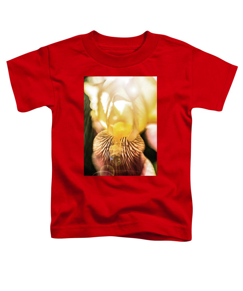 Iris Toddler T-Shirt featuring the photograph Burgundy Dreams 3 by Pamela Taylor