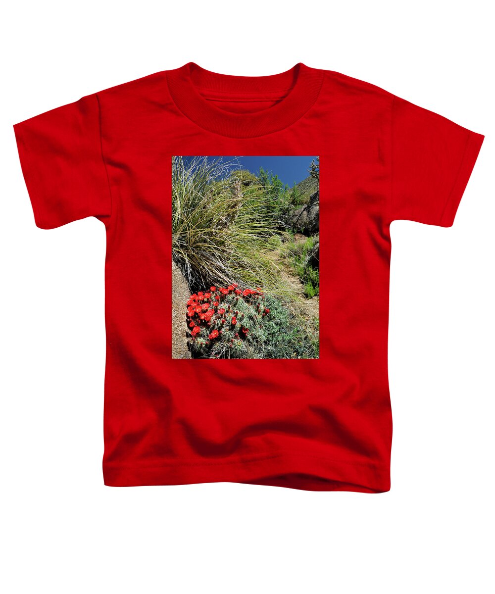 Landscape Toddler T-Shirt featuring the photograph Crimson Barrel Cactus by Ron Cline