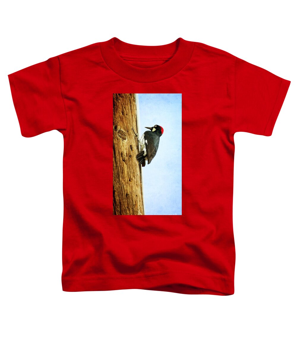 Bird Toddler T-Shirt featuring the photograph California Acorn Woodpecker by Jim And Emily Bush