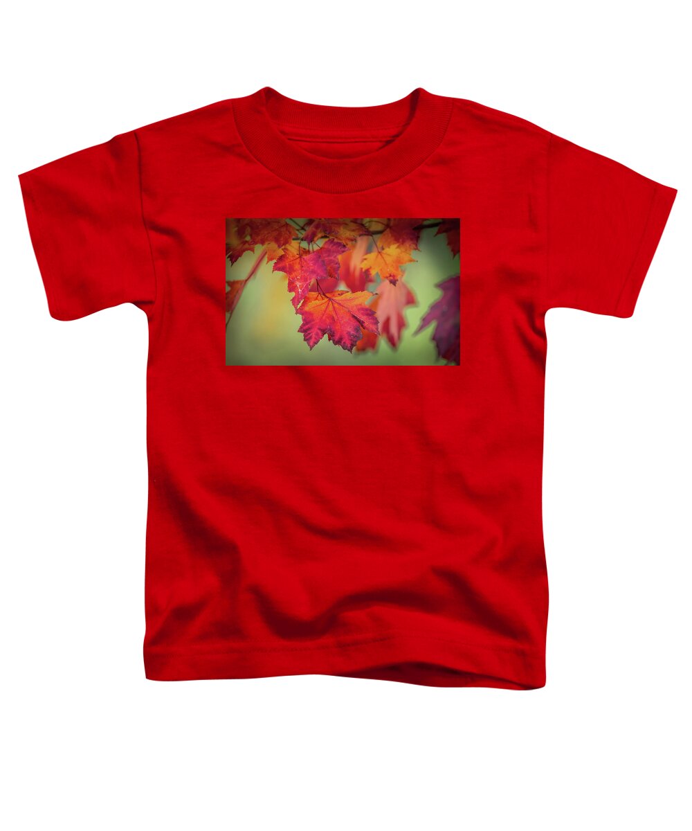 Leaf Toddler T-Shirt featuring the photograph Close-up of Red Maple Leaves in Autumn by Patrick Wolf