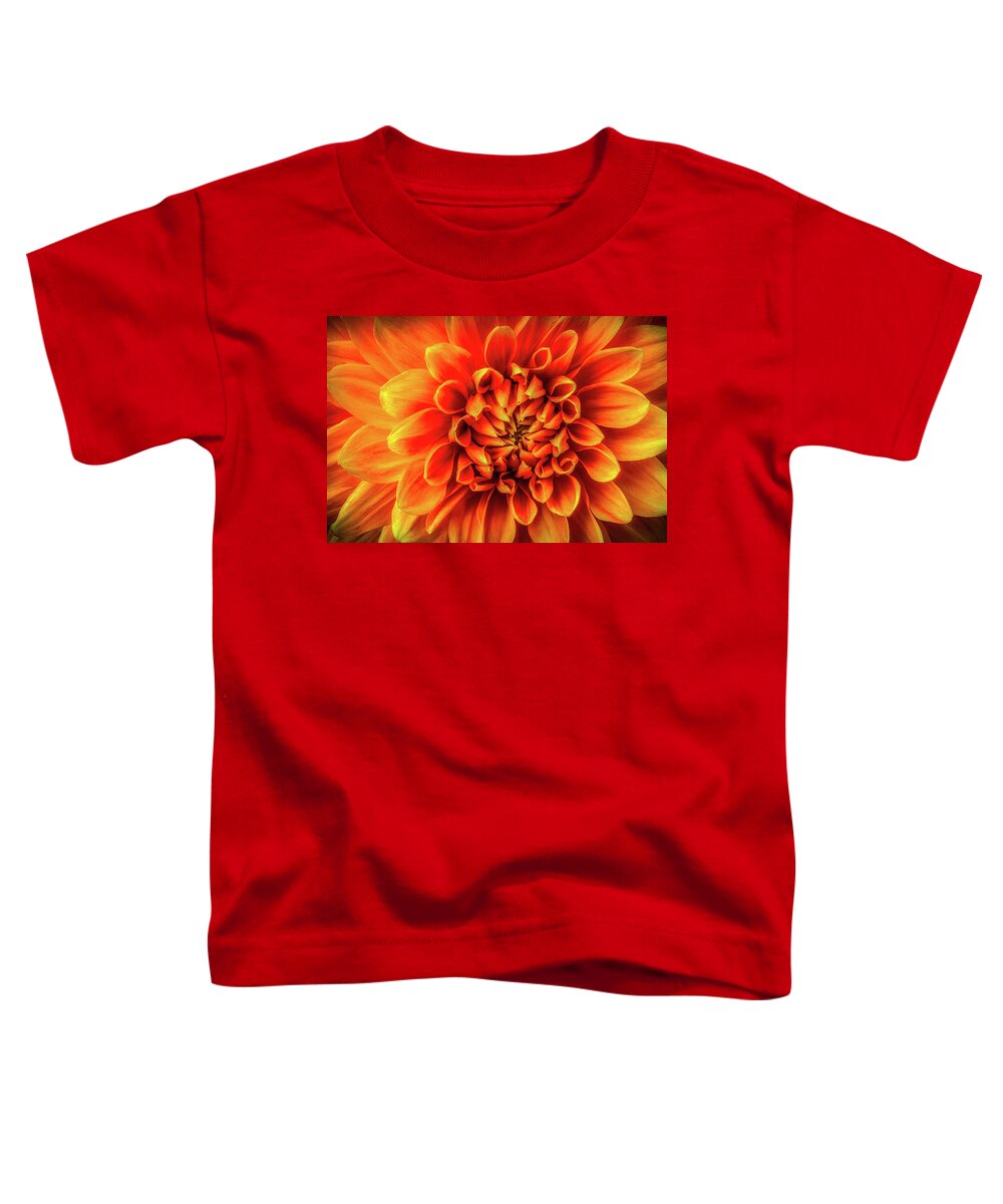 Color Toddler T-Shirt featuring the photograph Dahlia Detail by Garry Gay