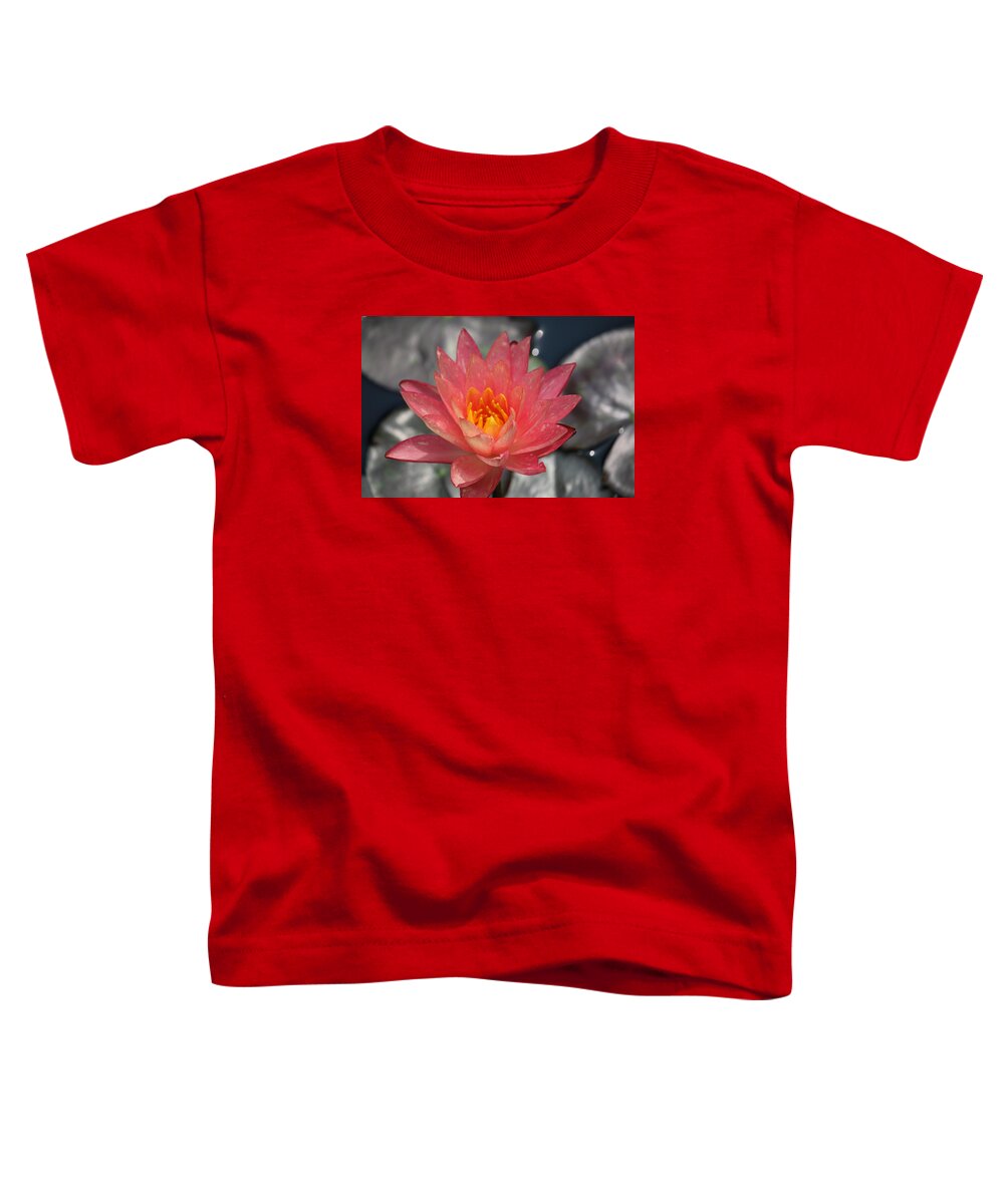 Toddler T-Shirt featuring the photograph Dappled Lily on Silver Pads by Ron Monsour
