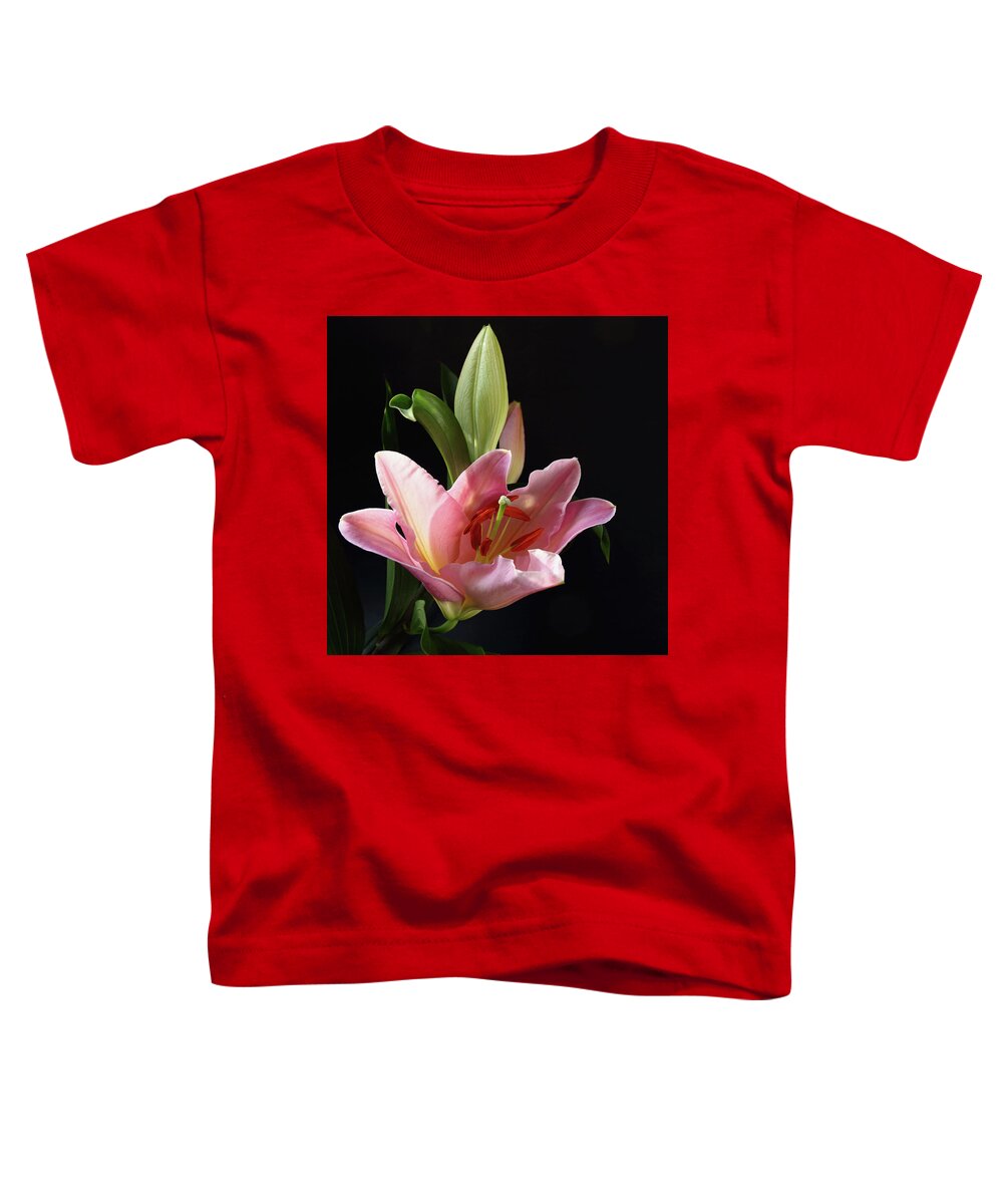 Daylily Toddler T-Shirt featuring the photograph Daylily by Jeff Townsend