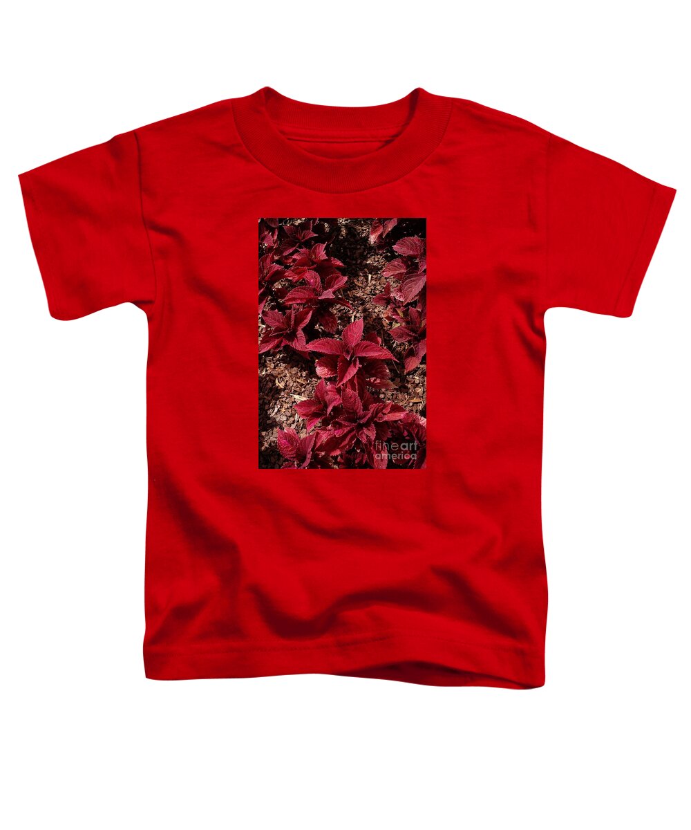 Red Coleus Toddler T-Shirt featuring the photograph Deep Red Coleus by Anita Adams
