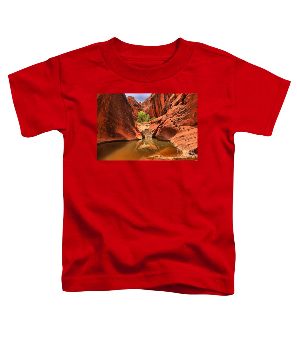 Red Cliffs Toddler T-Shirt featuring the photograph Dry Fall Reflections by Adam Jewell