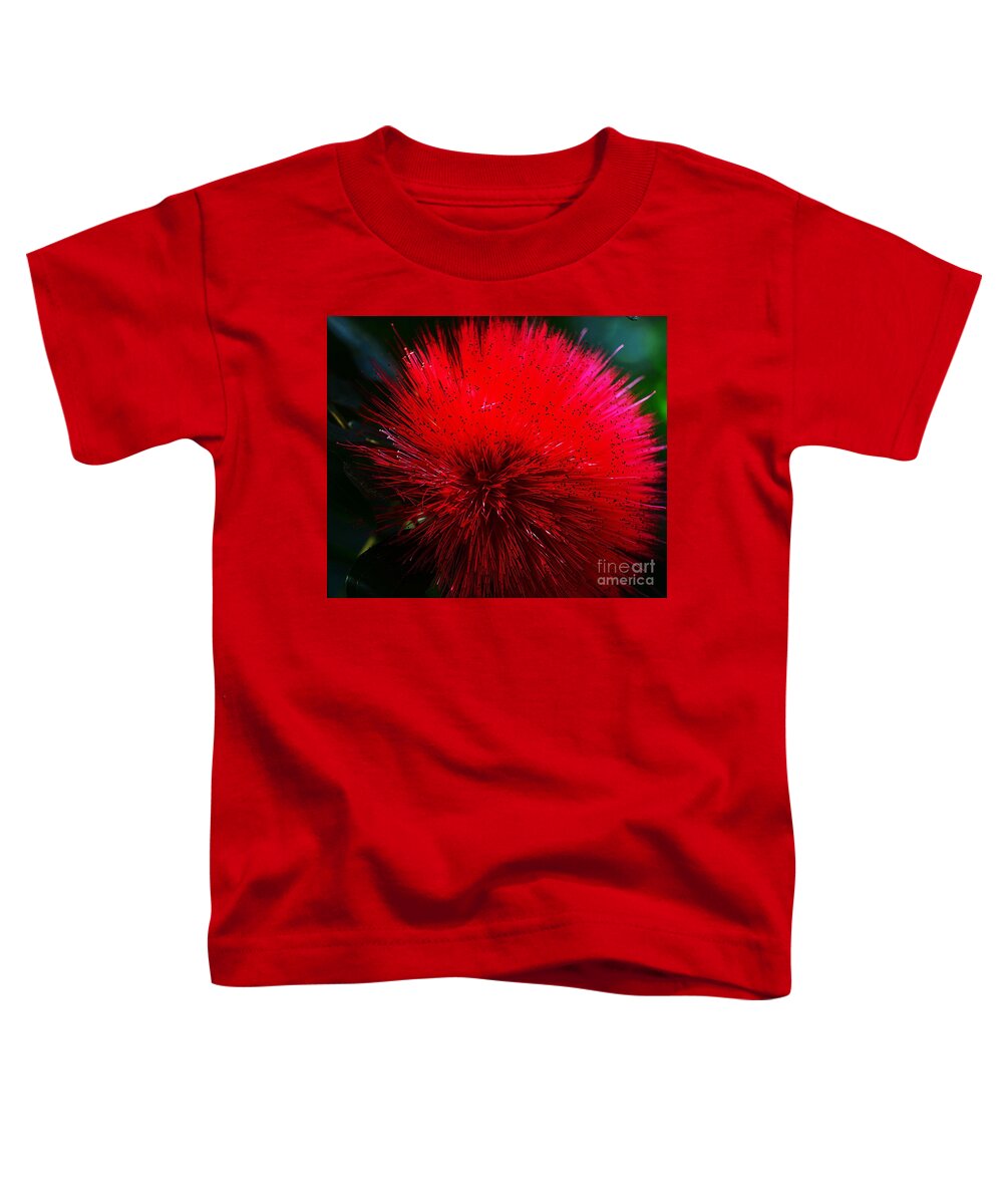 Flower Toddler T-Shirt featuring the photograph Explosive Nature by Cindy Manero
