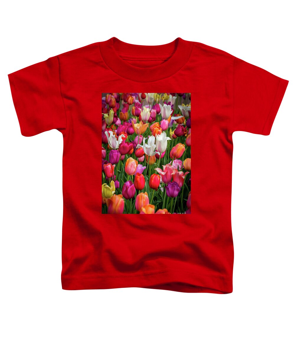 Tulip Toddler T-Shirt featuring the photograph Eye Candy by Charles Hite