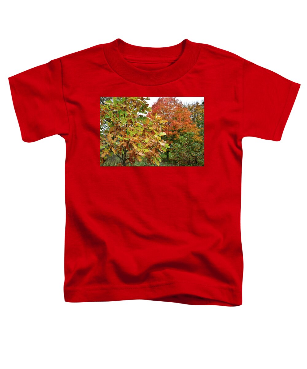 Veteran's Acres Toddler T-Shirt featuring the photograph Fall Color Sugar Maple and Oak in Veteran's Acres by Ray Mathis