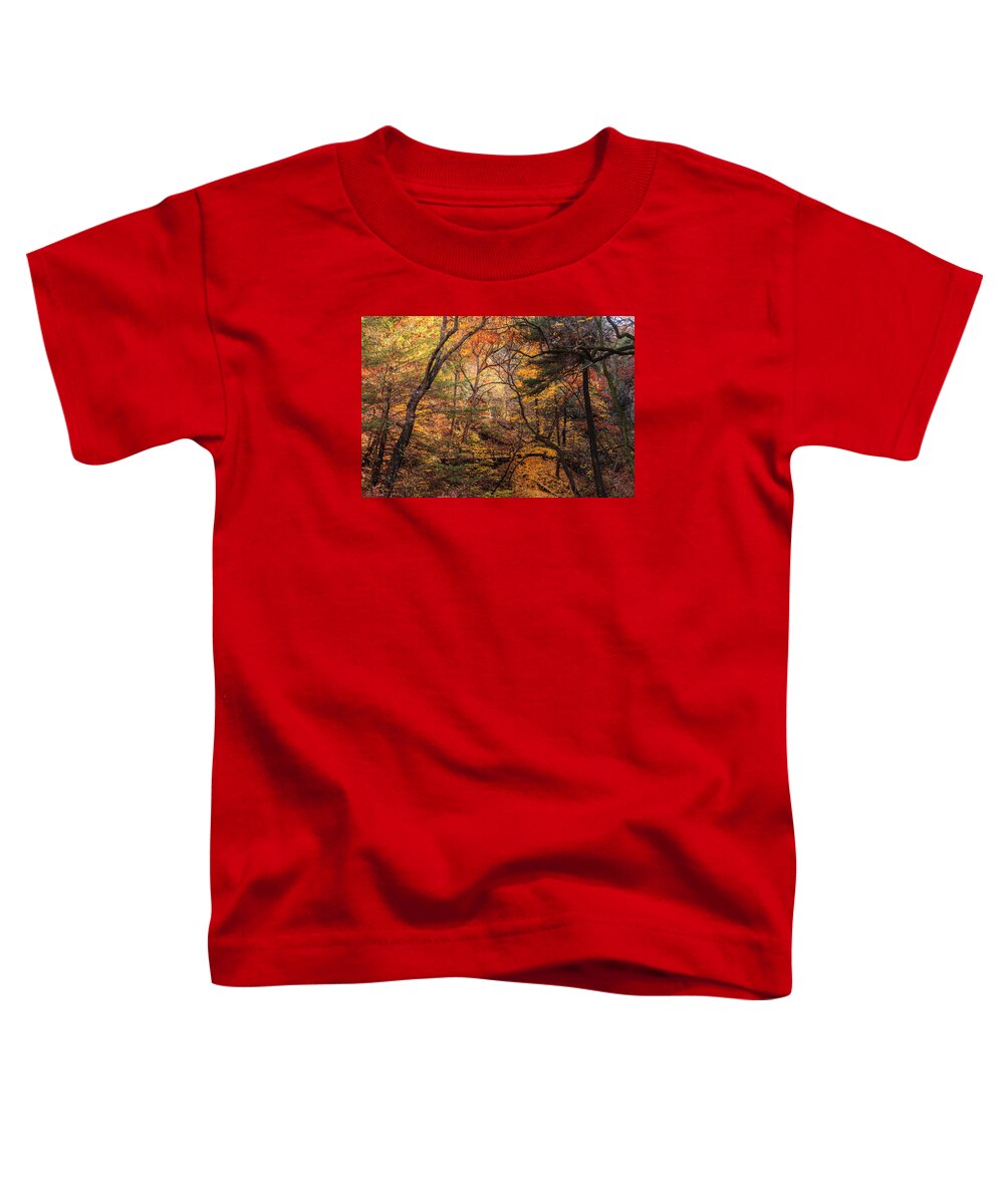 Starved Rock Toddler T-Shirt featuring the photograph Fall in the woods by Joni Eskridge