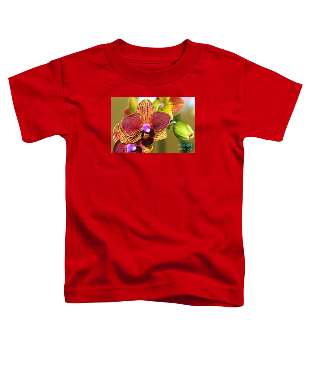 Orchid Toddler T-Shirt featuring the photograph Fall Orchid by Carol Komassa