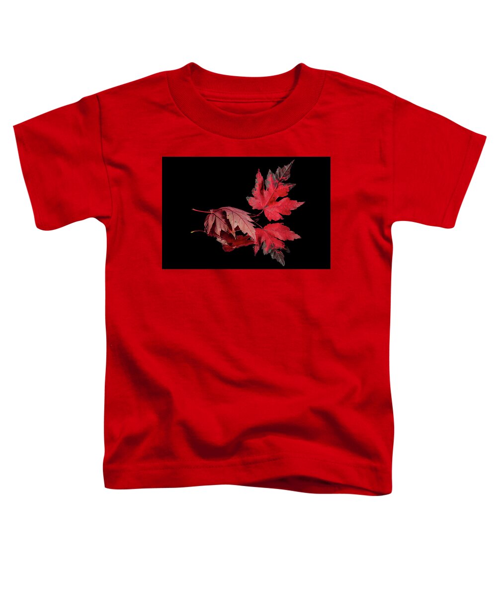 Red Toddler T-Shirt featuring the photograph Fall Reflections by Allin Sorenson