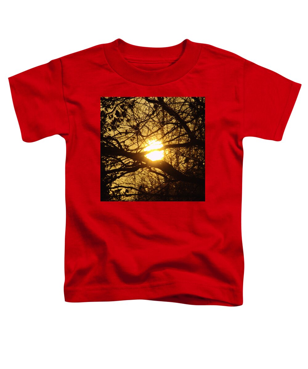 Sun Toddler T-Shirt featuring the photograph Fire Nest by Adrian Wale