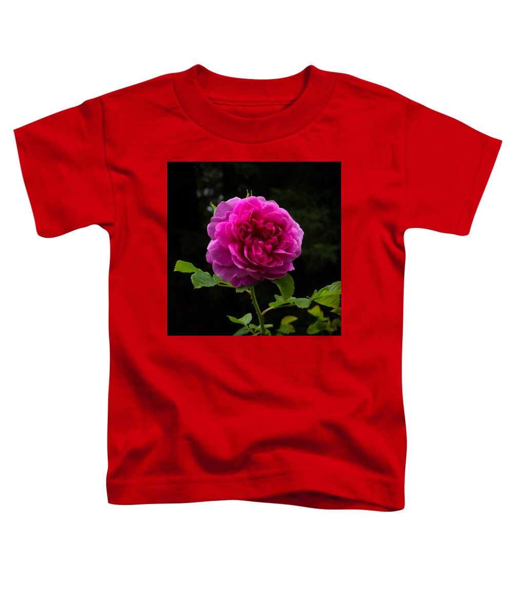 Bonnie Follett Toddler T-Shirt featuring the photograph Glory of the Wild Blue Yonder Rose by Bonnie Follett