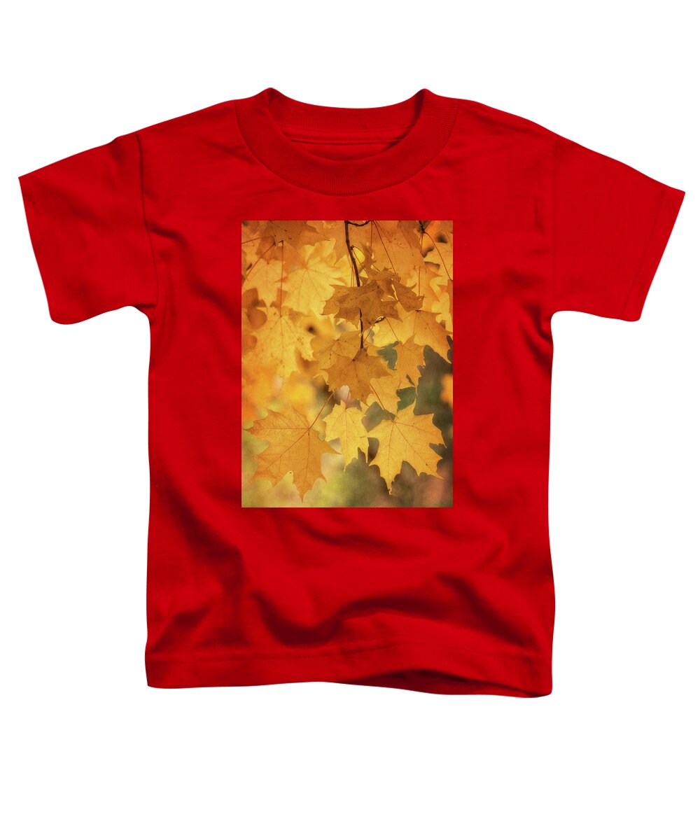 Maple Leaves Toddler T-Shirt featuring the photograph Golden Maple by Saija Lehtonen
