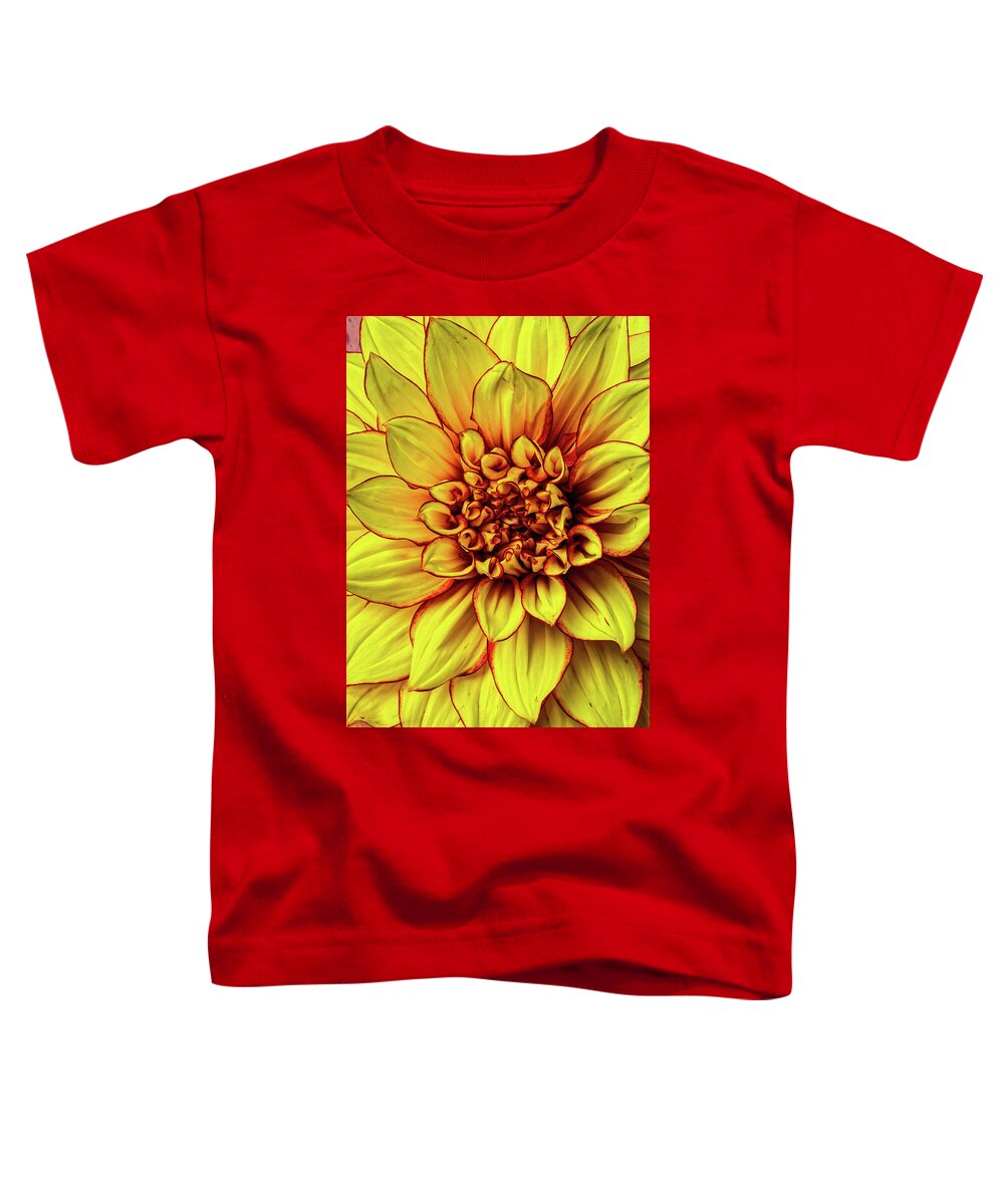 Color Toddler T-Shirt featuring the photograph Graphic Dahlia 2 by Garry Gay