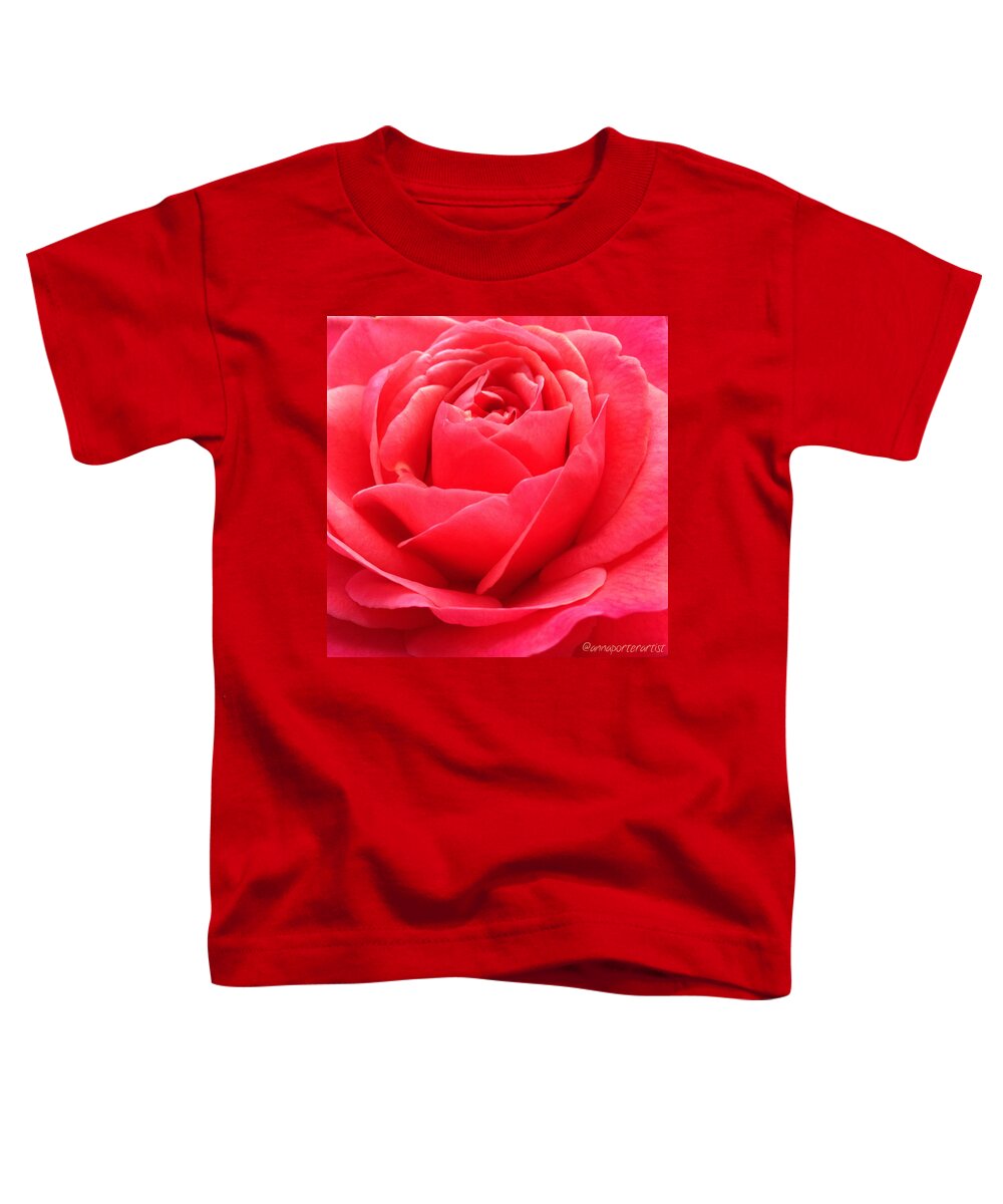 Hearts Desire Red Rose Toddler T-Shirt featuring the photograph Hearts Desire Red Rose by Anna Porter