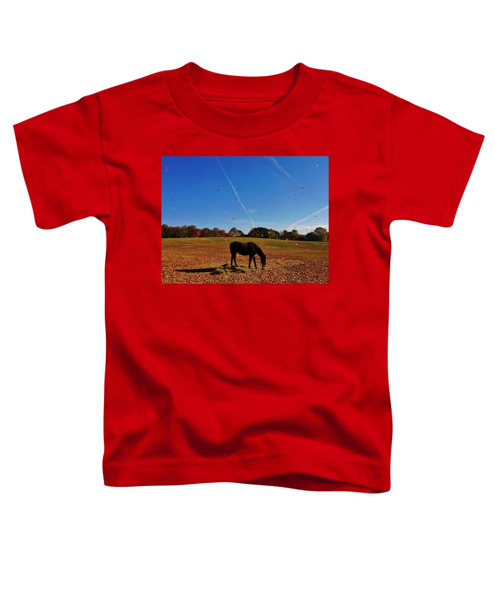 Horse Toddler T-Shirt featuring the photograph Horse Farm in the Fall by Ed Sweeney