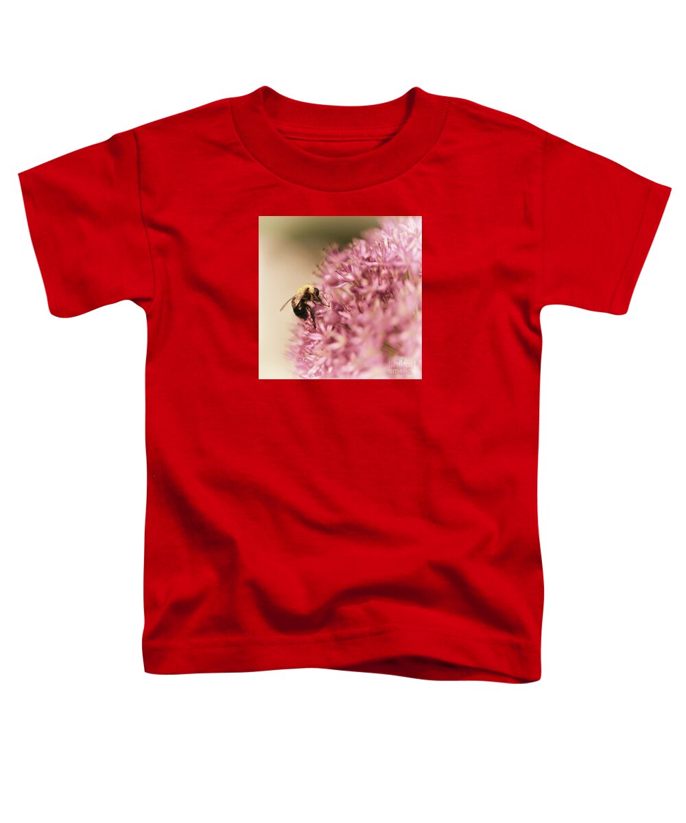 Bee Toddler T-Shirt featuring the photograph In The Pink by Lois Bryan