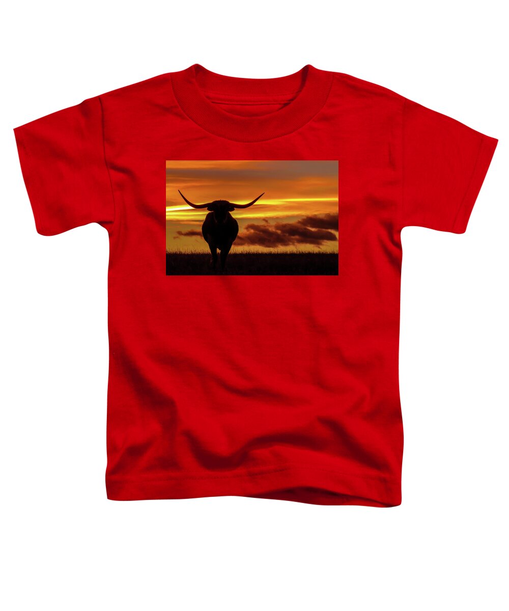 Colorado Toddler T-Shirt featuring the photograph Longhorn at Sunset by Dawn Key