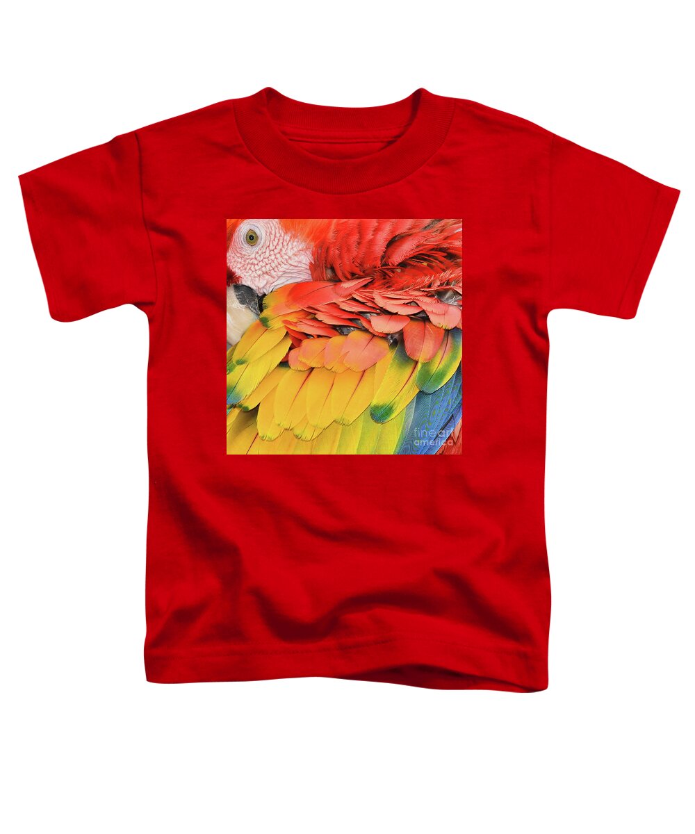 Macaw Parrot Toddler T-Shirt featuring the photograph Macaw Parrot by Olga Hamilton