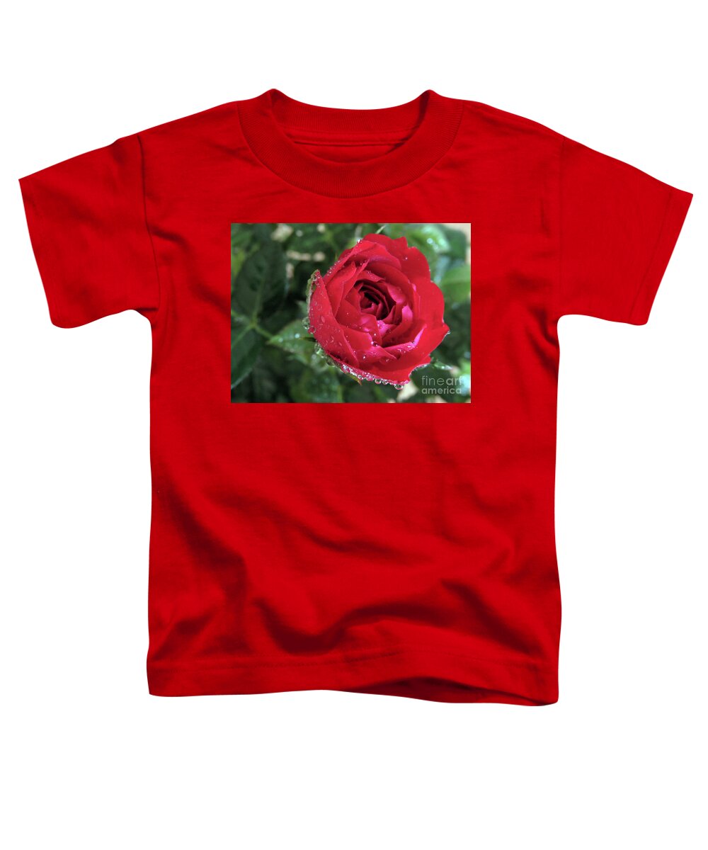 Rose Toddler T-Shirt featuring the photograph Mini Beauty 2 by Kim Tran