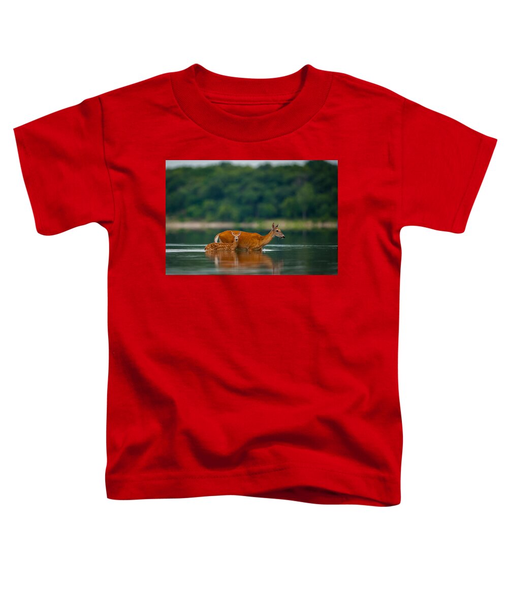 Nature Toddler T-Shirt featuring the photograph Mother's Courage by Jeff Phillippi