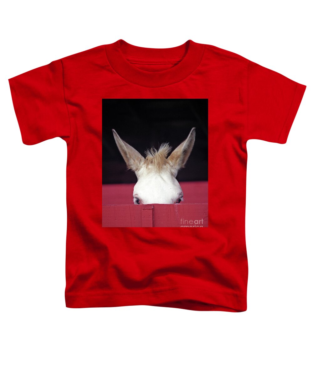 Mule Toddler T-Shirt featuring the photograph Mule Ears by Carien Schippers