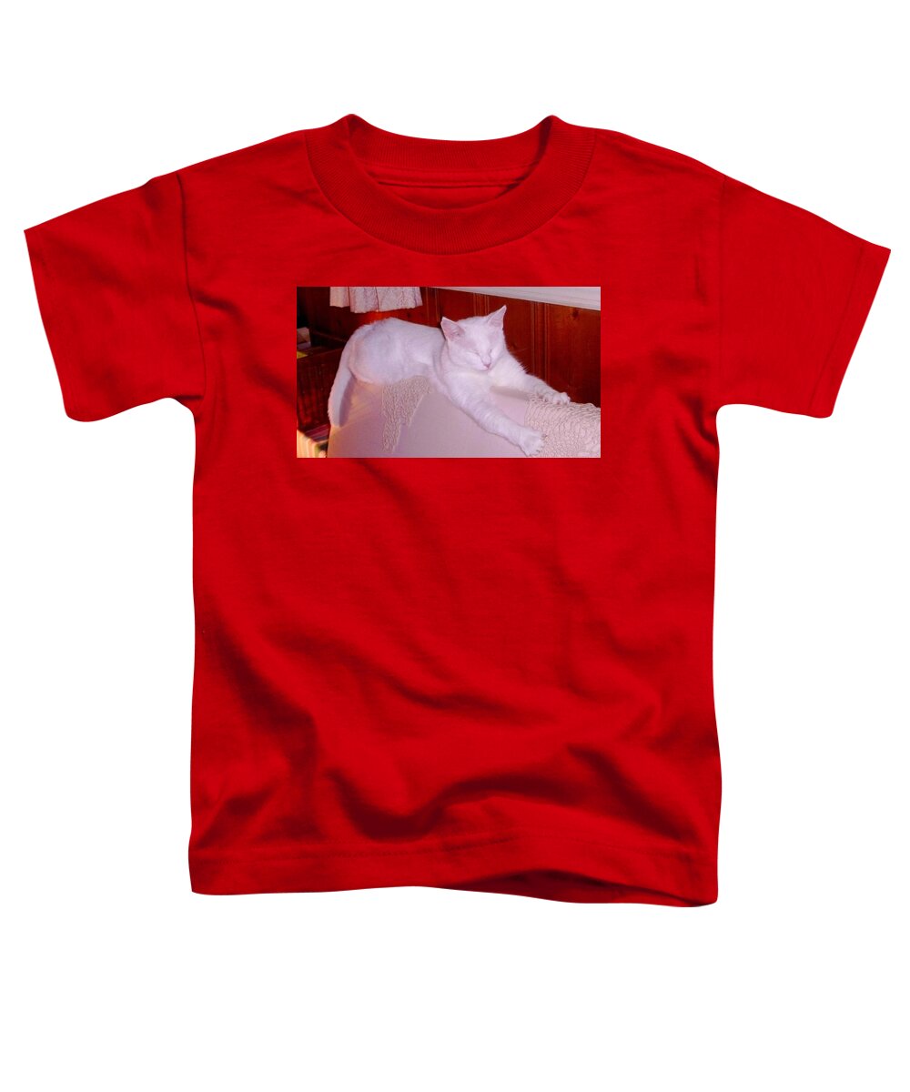 Cat Toddler T-Shirt featuring the photograph Ohmmmmm by Denise F Fulmer