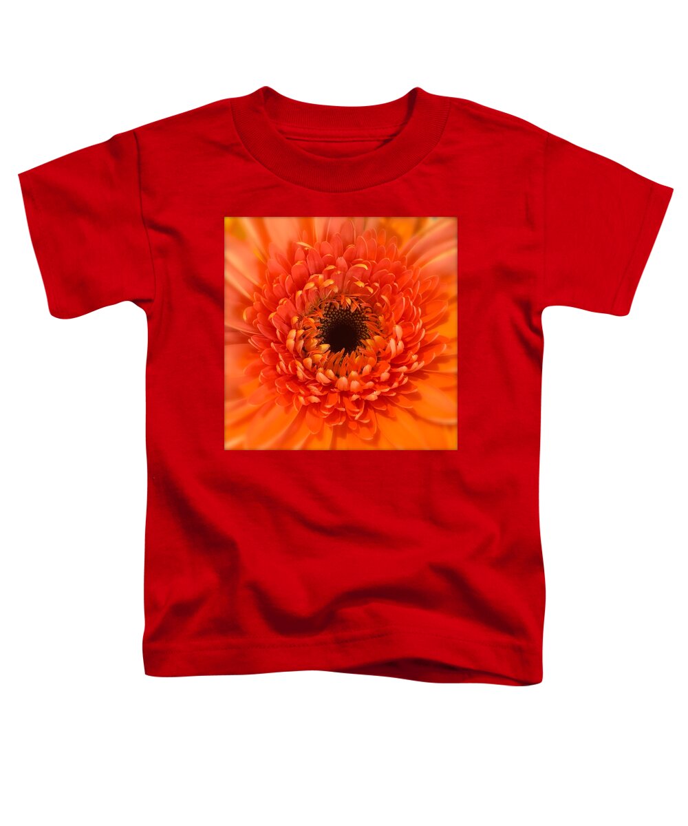 Nature Toddler T-Shirt featuring the photograph Orange Gerbera daisy by Wonju Hulse