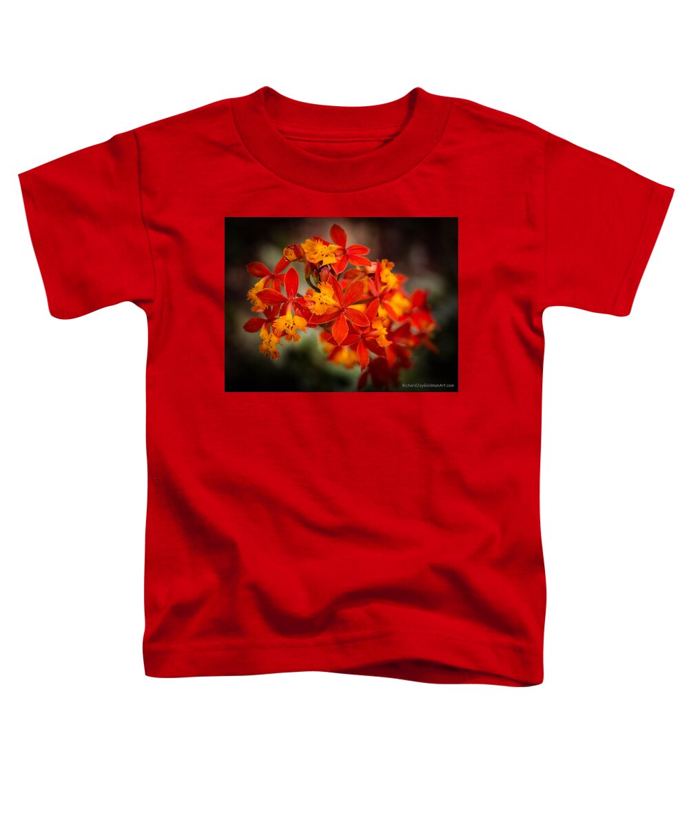 Orchid Toddler T-Shirt featuring the photograph Orchid Display by Richard Goldman