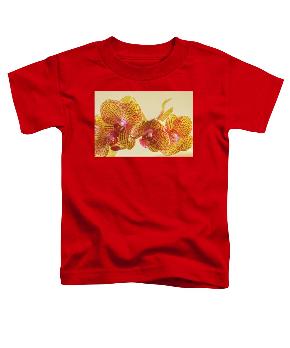 Beauty Toddler T-Shirt featuring the photograph Orchids by Bob Grabowski