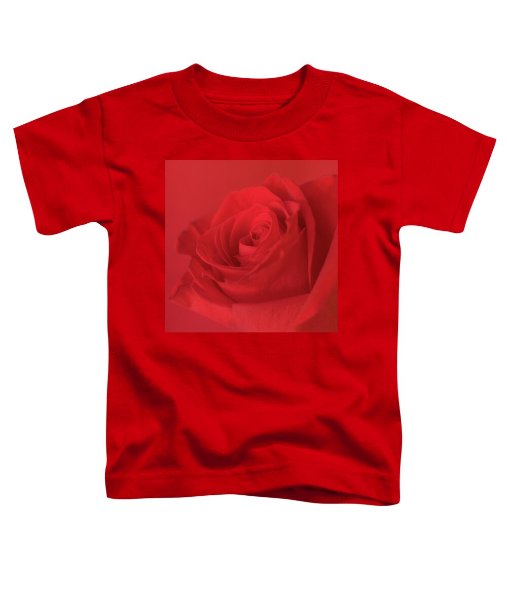 Red Rose Toddler T-Shirt featuring the photograph Passion by Holly Ross