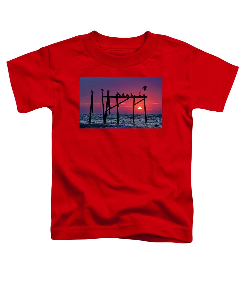 Topsail Island Toddler T-Shirt featuring the photograph Pelican's Perch by DJA Images