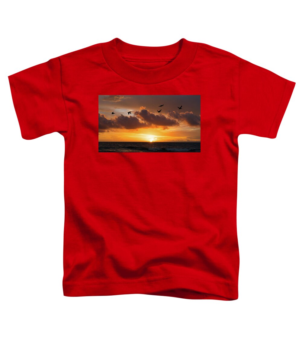 Florida Toddler T-Shirt featuring the photograph Pelicans Soar at Sunrise Delray Beach, Florida by Lawrence S Richardson Jr