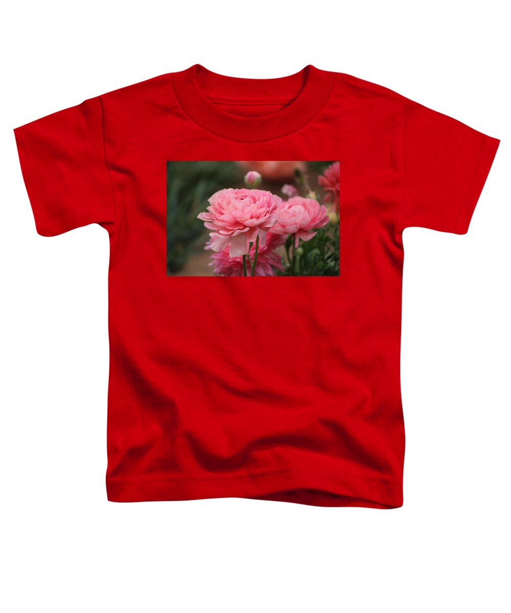 Pink Ranunculus Toddler T-Shirt featuring the photograph Peony Pink Ranunculus Closeup by Colleen Cornelius